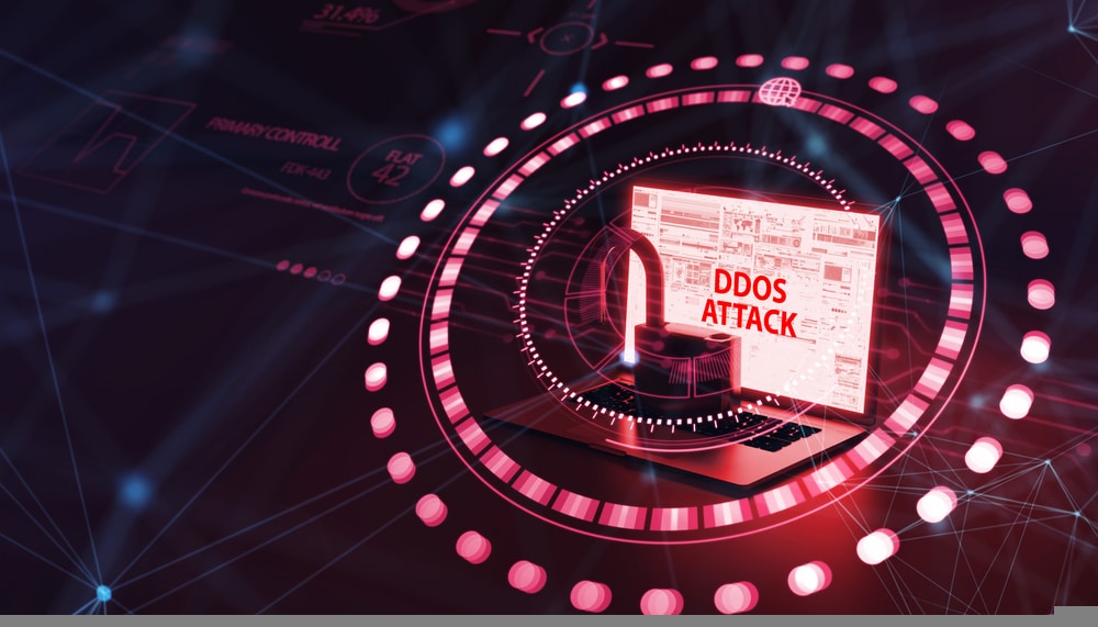 DDoS in the Realm of Cyberspace